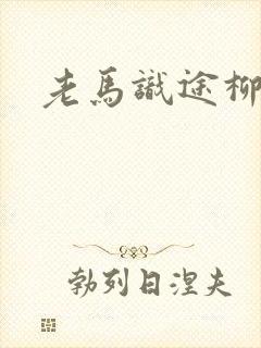 老马识途柳娇娇