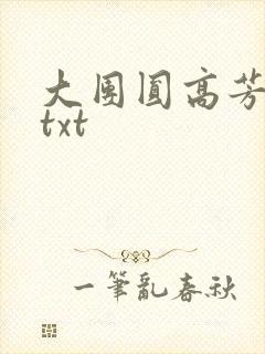 大团圆高芳小说txt