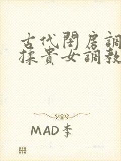 古代闺房调教h揉贵女调教记