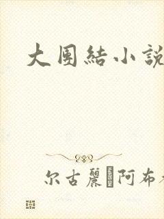 大团结小说阅读