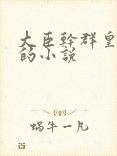 大臣干群皇太后的小说