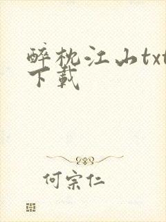 醉枕江山txt下载