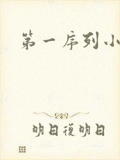 第一序列小说
