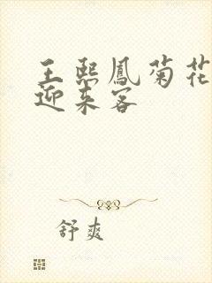 王熙凤菊花门初迎来客