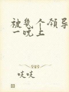 被几个领导玩弄一晚上