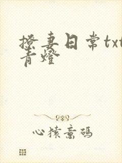 撩妻日常txt青灯