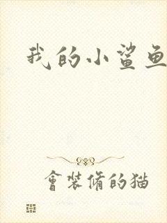 我的小鲨鱼