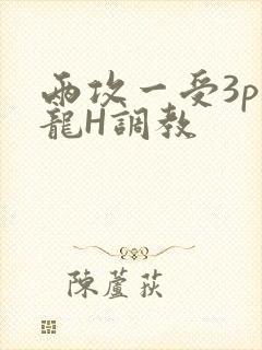 两攻一受3p双龙H调教