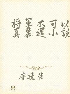将军不可以魏云真慕迟小说笔趣阁