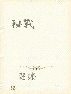 秘战