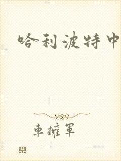 哈利波特中文版