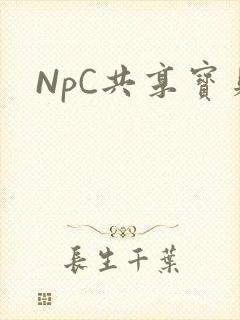 NpC共享宝贝