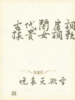 古代闺房调教h揉贵女调教记
