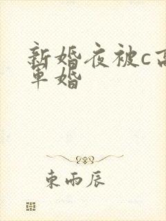 新婚夜被c高h军婚
