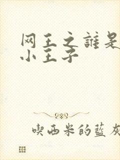 网王之谁是我的小王子