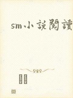 sm小说阅读