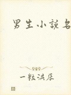男生小说名字