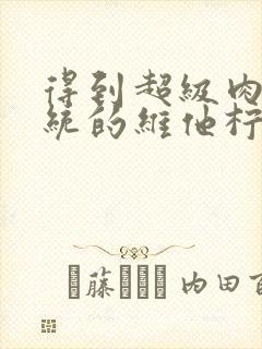 得到超级肉禽系统的维他柠檬茶