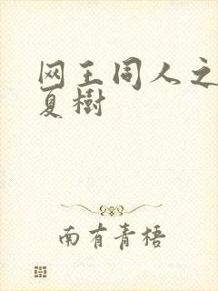 网王同人之桃生夏树