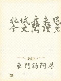 北城夜未眠小说全文阅读免费
