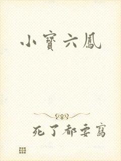 小宝六凤