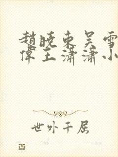 赵晓东吴雪晴郑伟王潇潇小说