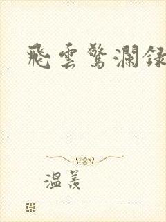 飞云惊澜录