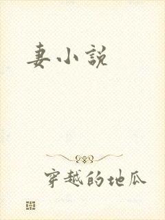 妻小说