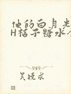 他的白月光HVH桔子糖水全文
