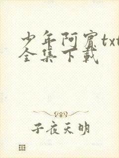 少年阿宾txt全集下载