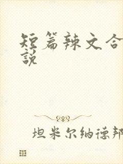 短篇辣文合集小说