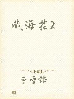 藏海花2