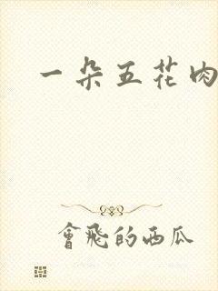 一朵五花肉