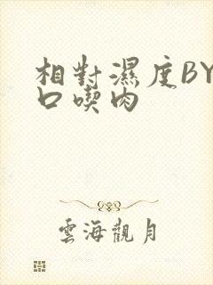 相对湿度BY大口吃肉