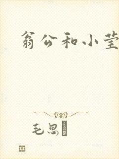 翁公和小莹