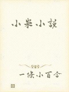 小米小说