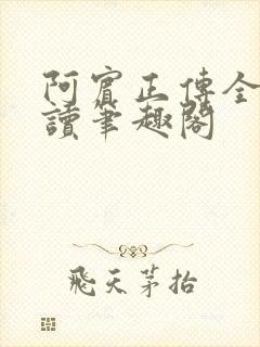 阿宾正传全文阅读笔趣阁