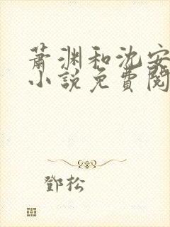 萧渊和沈安安的小说免费阅读