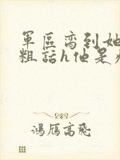 军区脔到她哭h粗话h他是疯批