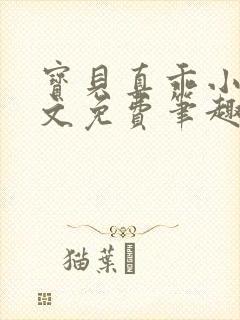 宝贝真乖小说全文免费笔趣阁