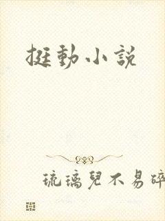 挺动小说