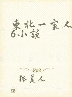 东北一家人1一6小说