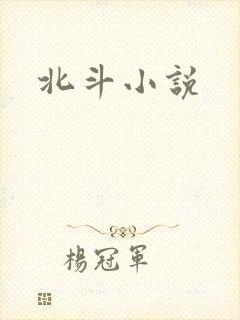 北斗小说