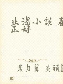 止渴小说 春光正好