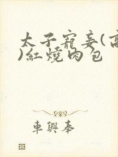 太子宠妾(高肉)红烧肉包