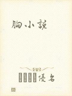 胸小说
