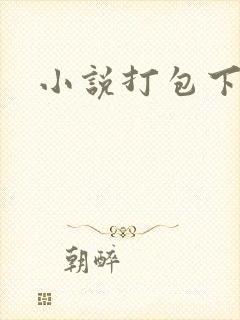 小说打包下载