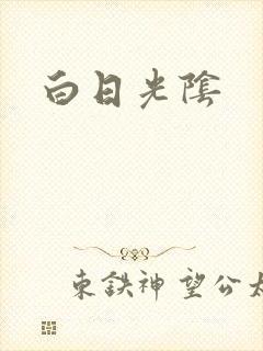 白日光阴