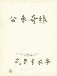 公车奇缘