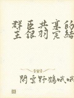 群臣共享的小公主银羽完结了吗